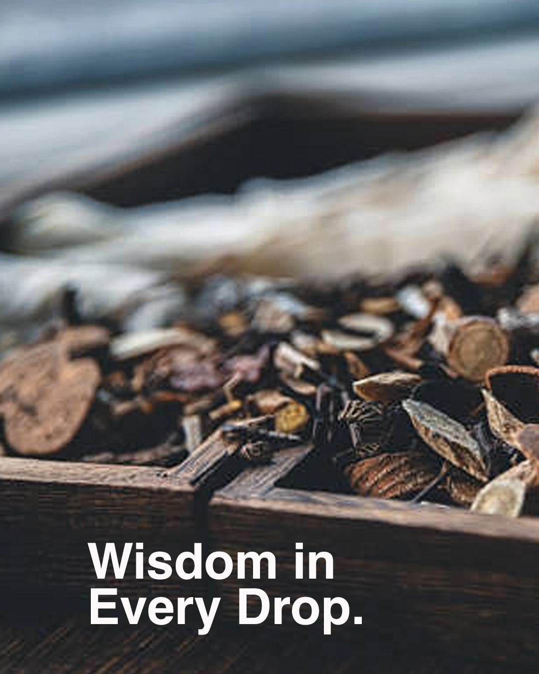 Wisdom in every drop.
